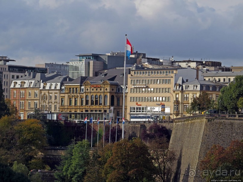 Бешеной собаке семь верст не крюк