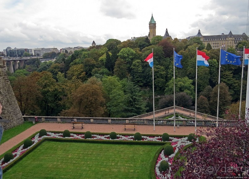 Бешеной собаке семь верст не крюк
