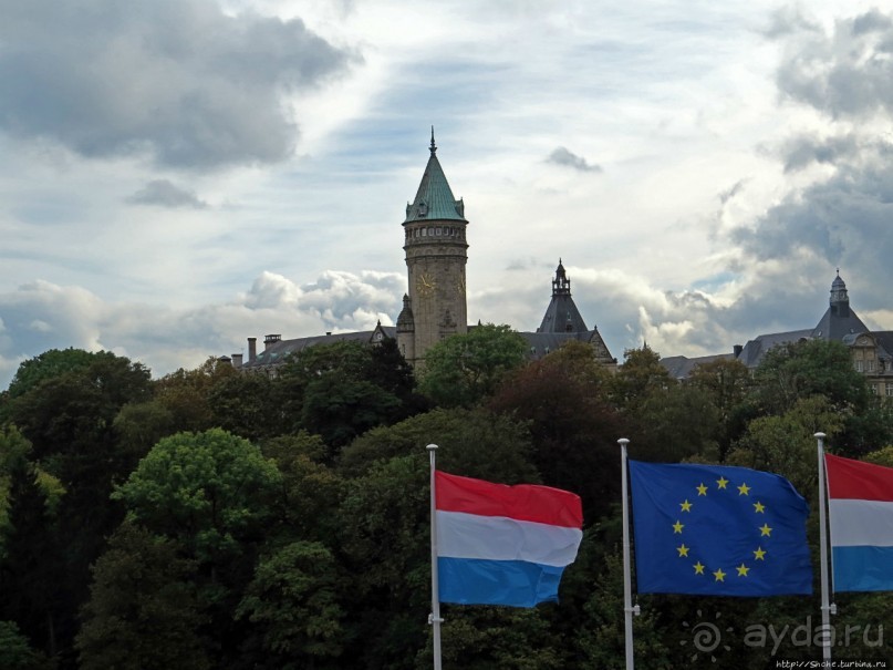 Бешеной собаке семь верст не крюк