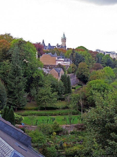 Бешеной собаке семь верст не крюк