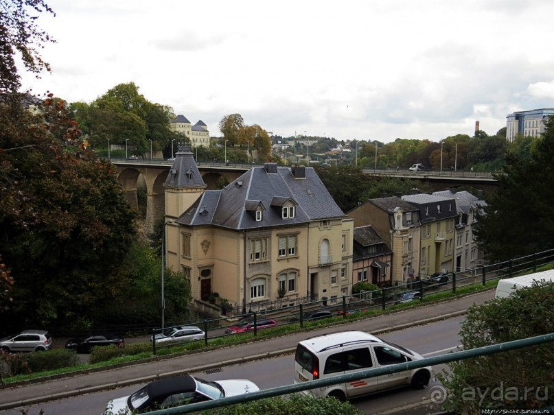 Бешеной собаке семь верст не крюк