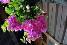 Поесть с прекрасным видом на Балтику и царь-камень Лаучи