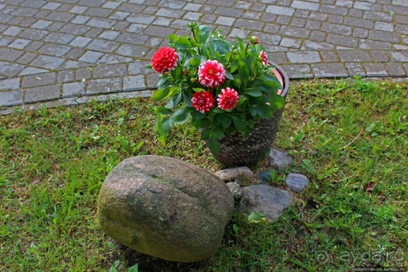 Поесть с прекрасным видом на Балтику и царь-камень Лаучи