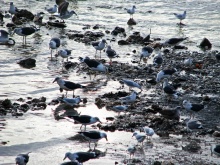 Лиссабон. Первое посещение, первое впечатление на прогулке