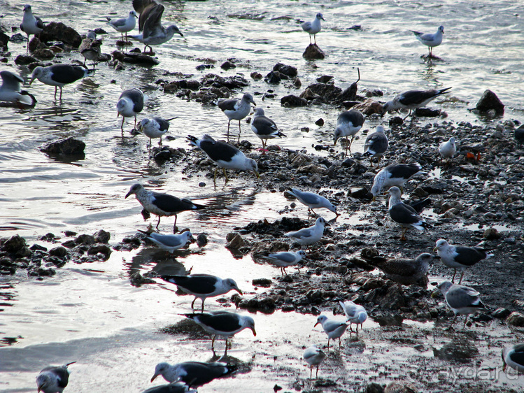 Лиссабон. Первое посещение, первое впечатление на прогулке