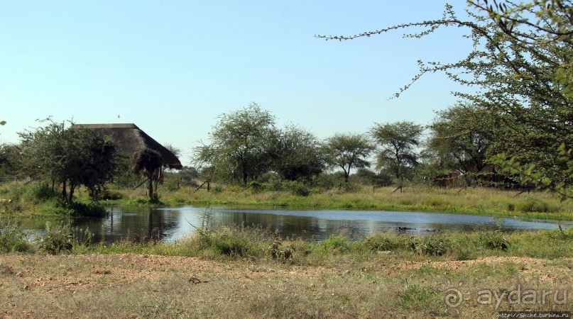 Комфортное жилье в частном заповеднике с видом на водопой