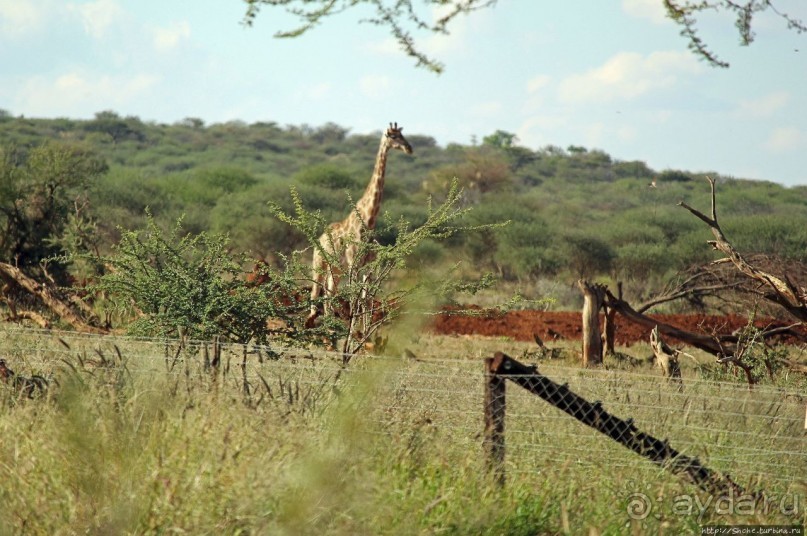 Комфортное жилье в частном заповеднике с видом на водопой