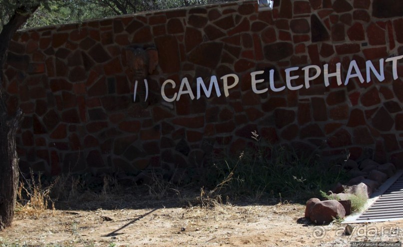 Комфортное жилье в частном заповеднике с видом на водопой