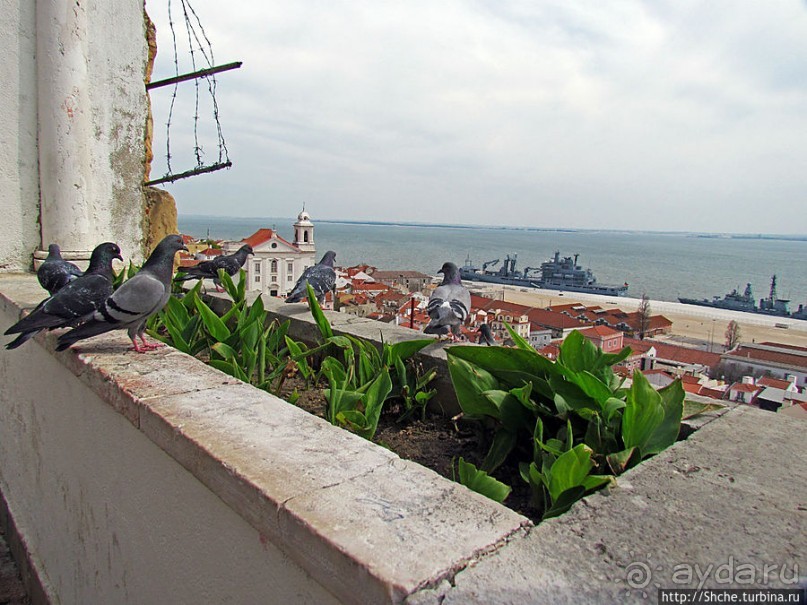 Приятный "гламурный" тихий сквер как пауза в подъеме