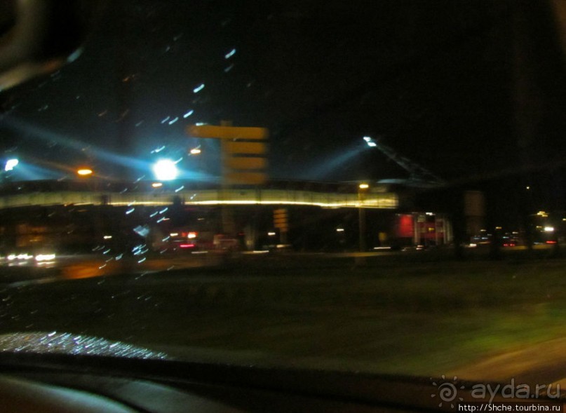 Желто-синее дежа-вю в Алкмаре...15 декабря - "день сурка"