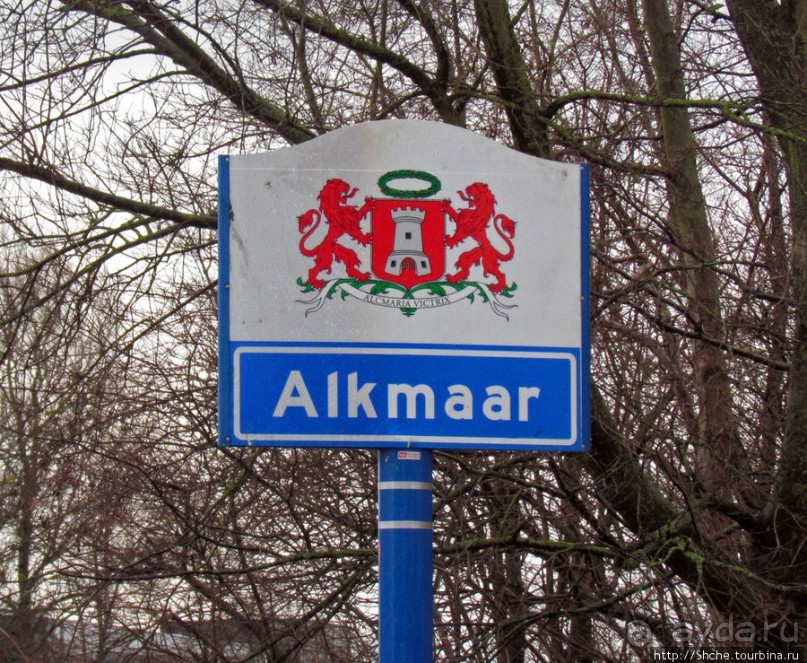 Желто-синее дежа-вю в Алкмаре...15 декабря - "день сурка"