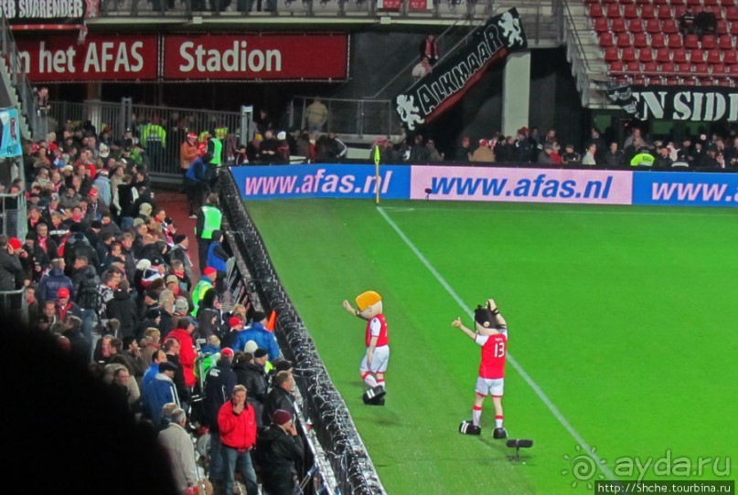 Желто-синее дежа-вю в Алкмаре...15 декабря - "день сурка"