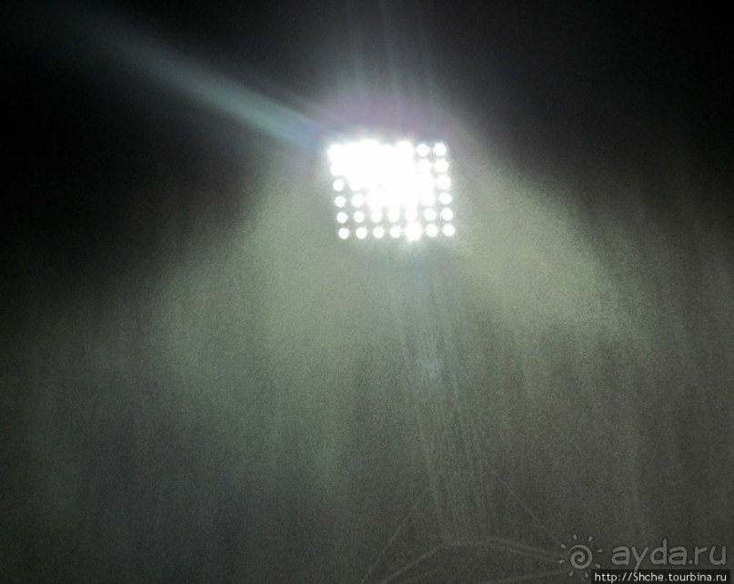 Желто-синее дежа-вю в Алкмаре...15 декабря - "день сурка"