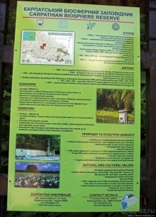 А пока-пока-по камушкам