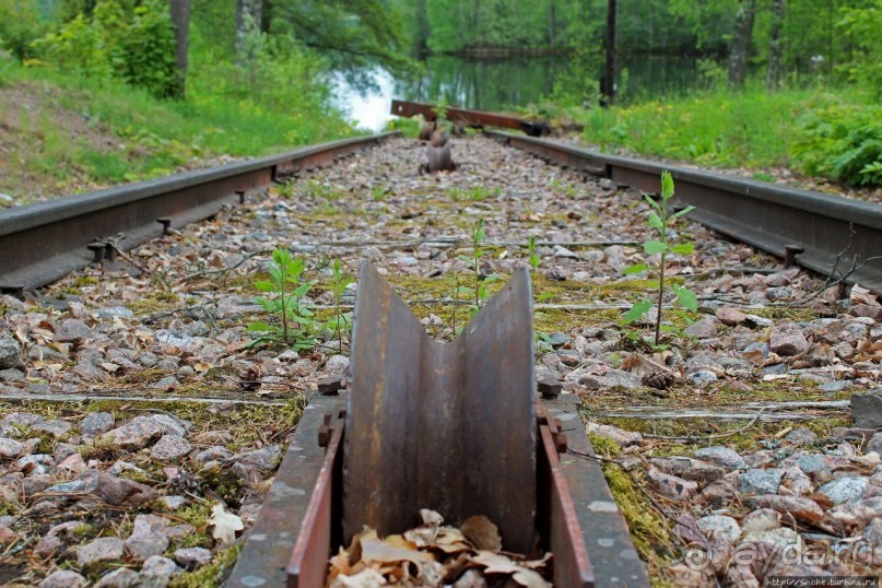 Верла — промышленный поселок в финском лесу ( ЮНЕСКО № 751)