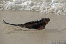 Бьют волны — им не прикольно:))