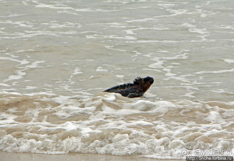 Бьют волны — им не прикольно:))