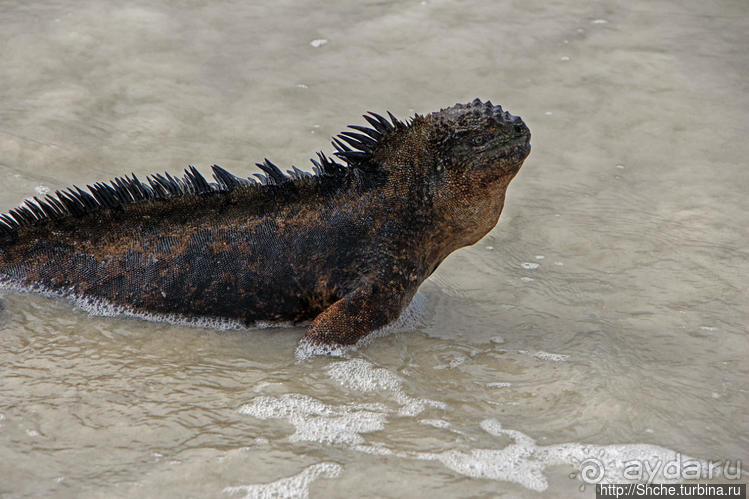 Бьют волны — им не прикольно:))