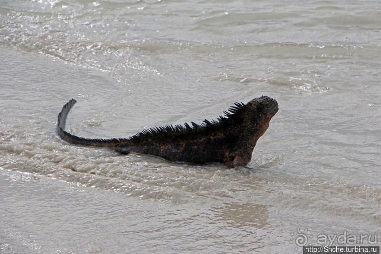 Бьют волны — им не прикольно:))
