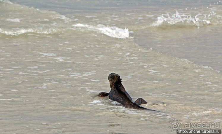 Бьют волны — им не прикольно:))