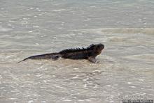 Бьют волны — им не прикольно:))