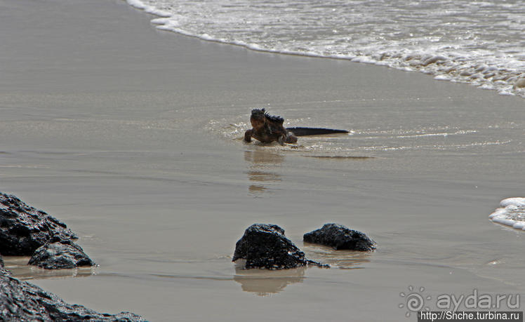 Бьют волны — им не прикольно:))