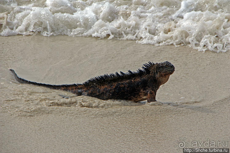 Бьют волны — им не прикольно:))