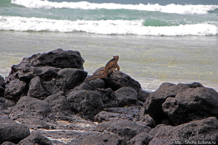 Бьют волны — им не прикольно:))