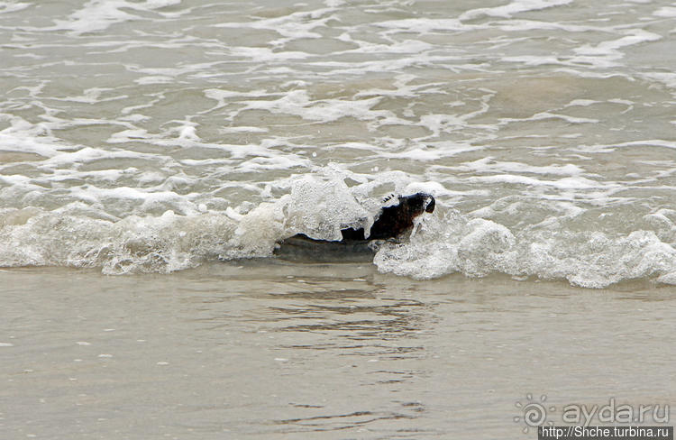 Бьют волны — им не прикольно:))