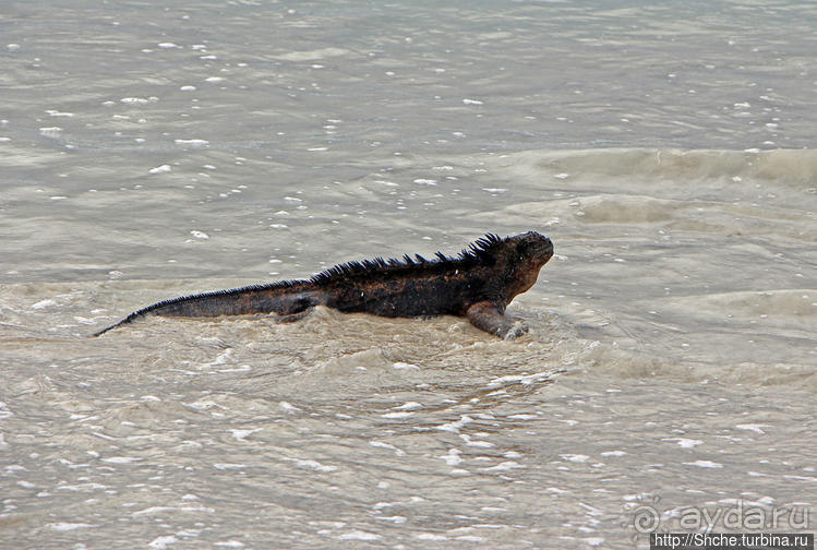Бьют волны — им не прикольно:))