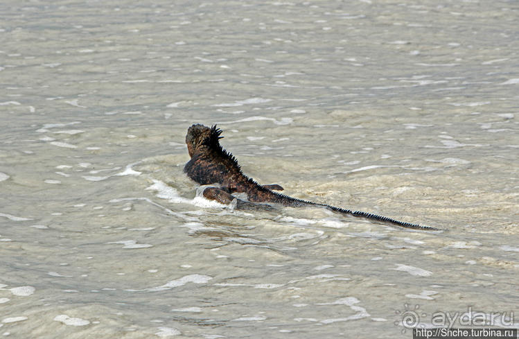Бьют волны — им не прикольно:))
