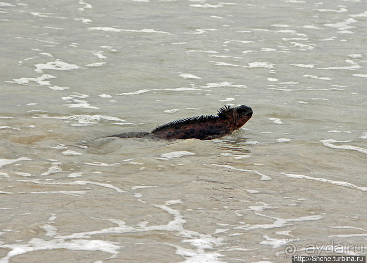 Бьют волны — им не прикольно:))