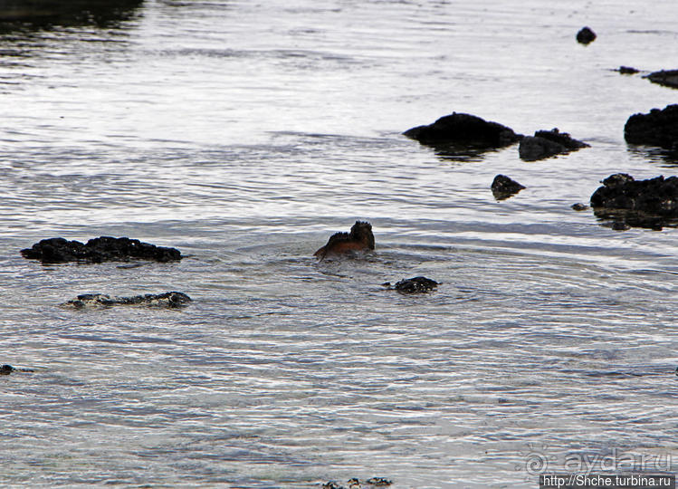 Бьют волны — им не прикольно:))