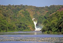 А-а, крокодилы, бегемоты... Круиз по Виктория-Нилу