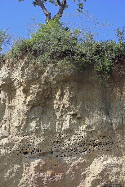 А-а, крокодилы, бегемоты... Круиз по Виктория-Нилу