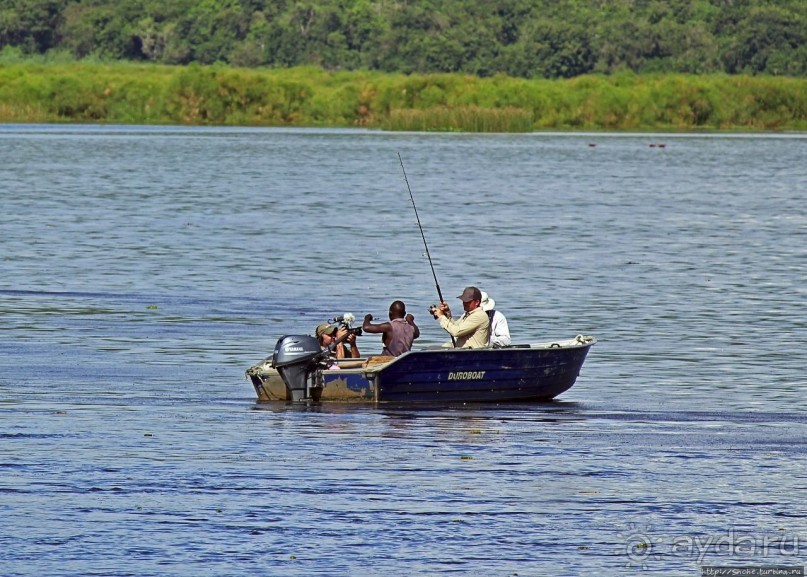 А-а, крокодилы, бегемоты... Круиз по Виктория-Нилу