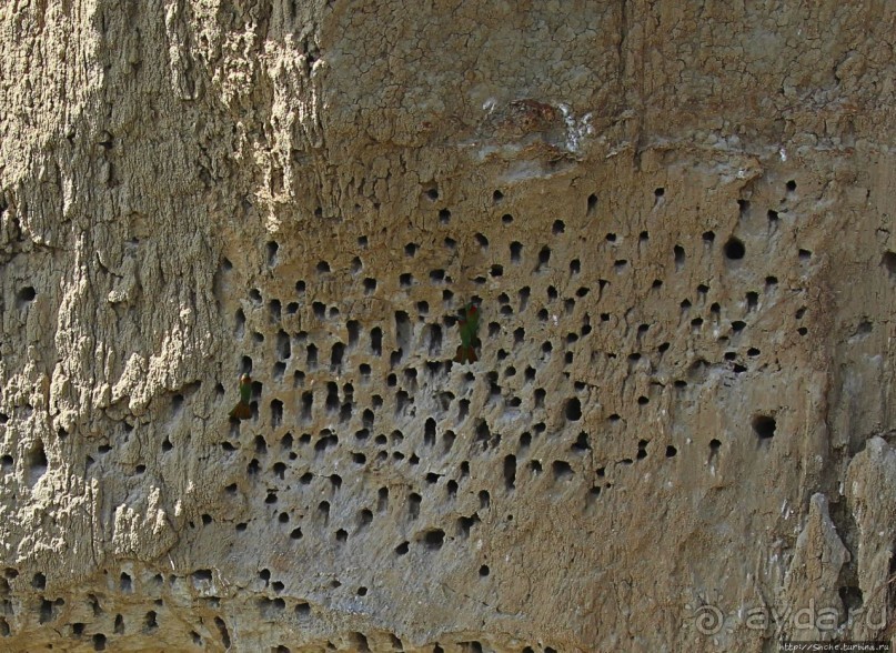 А-а, крокодилы, бегемоты... Круиз по Виктория-Нилу