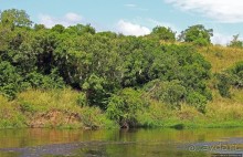 А-а, крокодилы, бегемоты... Круиз по Виктория-Нилу