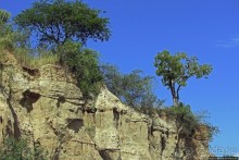 А-а, крокодилы, бегемоты... Круиз по Виктория-Нилу