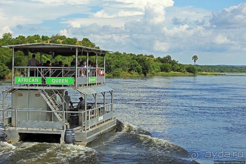 А-а, крокодилы, бегемоты... Круиз по Виктория-Нилу
