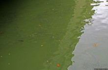 Небольшой водный парк на реке Woonasquatucket