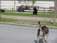 Заппейон и Национальные сады Греции, короткое знакомство