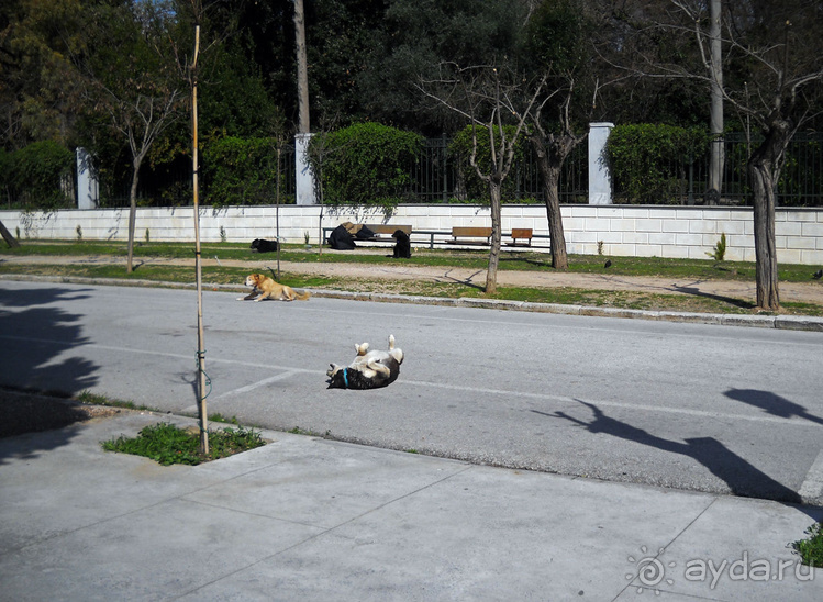 Заппейон и Национальные сады Греции, короткое знакомство