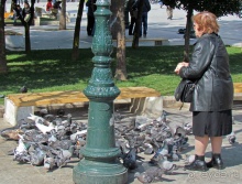 Заппейон и Национальные сады Греции, короткое знакомство