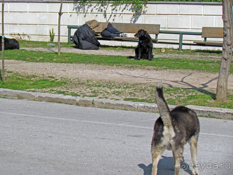 Заппейон и Национальные сады Греции, короткое знакомство