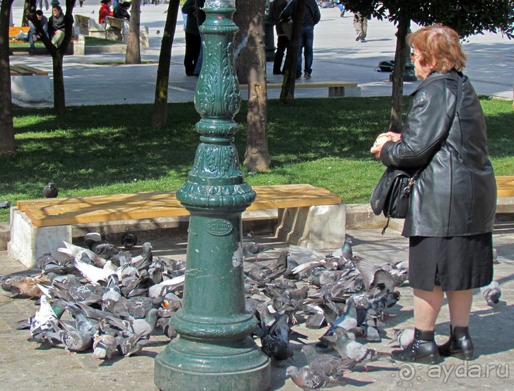 Заппейон и Национальные сады Греции, короткое знакомство