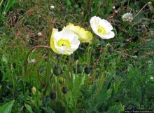 Ushuaia — fin del mundo. Ушуайя — конец света