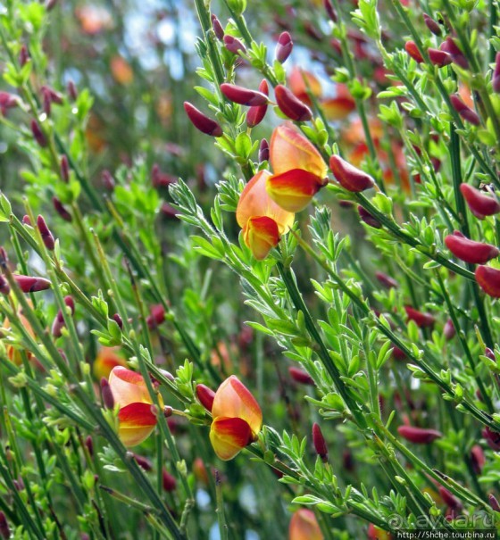 Ushuaia — fin del mundo. Ушуайя — конец света
