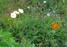 Ushuaia — fin del mundo. Ушуайя — конец света