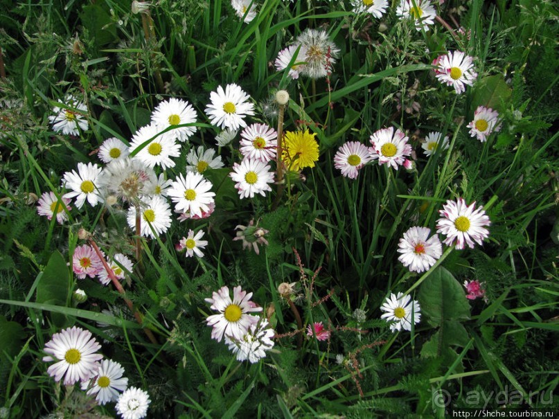 Ushuaia — fin del mundo. Ушуайя — конец света